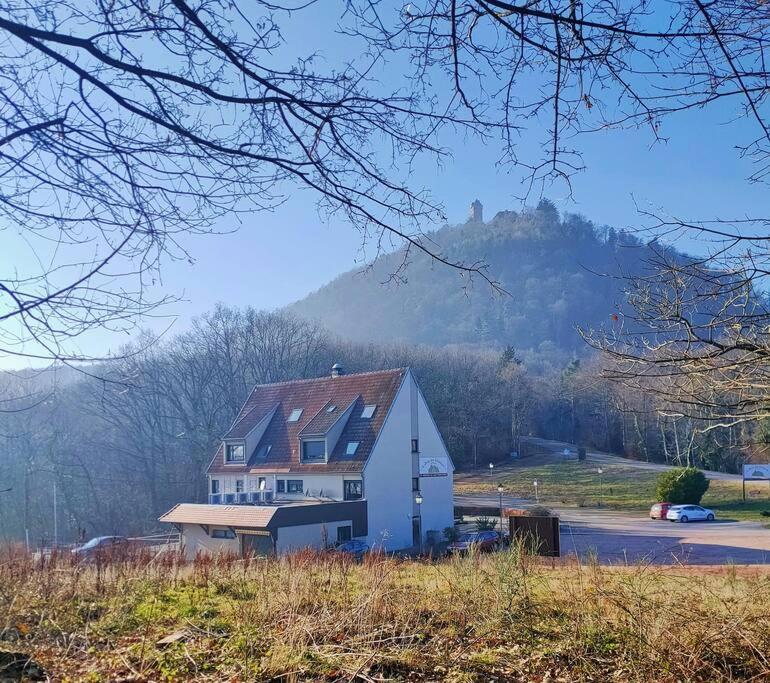 Au Pied Du Chateau Orschwiller Kültér fotó